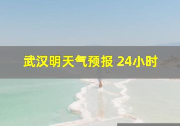 武汉明天气预报 24小时